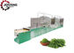 Moringa-Blätter pulverisieren 200KW 10m/Min Microwave Sterilization Machine