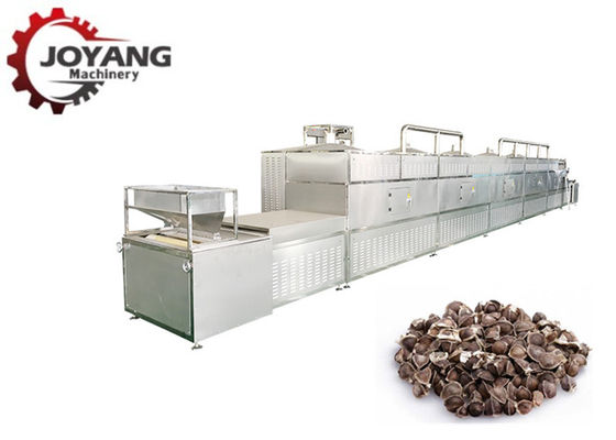 Mikrowellen-Moringa-Samen-Gießmaschine Bean Seed Drying Sterilization Machine
