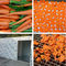 Industrielle Wärmepumpe-Rettich-Entwässerungsmittel-Heißluft-Nahrungsmitteltrockner-Karotten-Schleuder