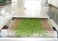 Plc-Mikrowellen-verlässt trocknende Sterilisations-Ausrüstung Moringa trockenere Ofen-Blätter